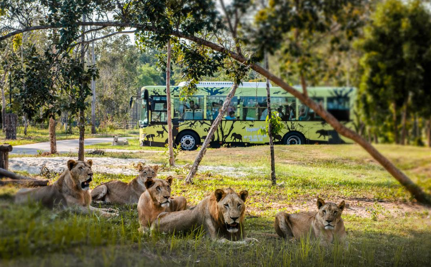 Nắm giữ “kỷ lục kép” thế giới - Vinpearl Safari Phú Quốc “khủng” cỡ nào? - Ảnh 6.