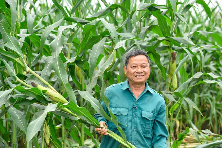 Hành trình phát triển bền vững tại Vinamilk: Từ những thay đổi nhỏ đến tác động lớn hơn cho cộng đồng - Ảnh 5.