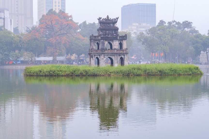 Rare Collection: Những "tác phẩm nghệ thuật" sống giữa lòng Hà Nội - Ảnh 1.