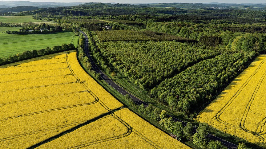 Từ bây giờ, sẽ miễn tiền thuê đất đối với các dự án sau- Ảnh 1.