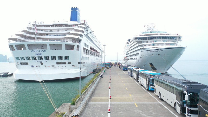 Gần 2.400 du khách quốc tế "xông đất" Cảng tàu khách Quốc tế Hạ Long
- Ảnh 4. Gần 2.400 du khách quốc tế "xông đất" Cảng tàu khách Quốc tế Hạ Long
- Ảnh 4.