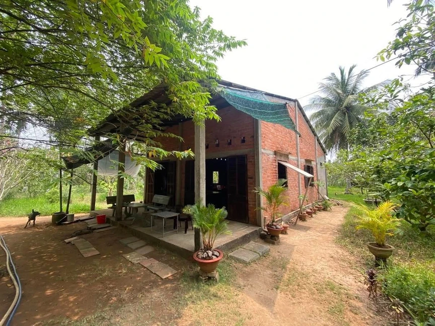 Mái xanh Jeju giữa vườn quê Việt: Khi hai nền văn hóa gặp nhau trong một không gian sống- Ảnh 1. Mái xanh Jeju giữa vườn quê Việt: Khi hai nền văn hóa gặp nhau trong một không gian sống- Ảnh 1.