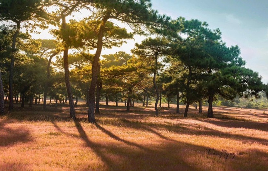 FLC dồn lực ‘đánh thức’ các dự án bất động sản sau khi cựu chủ tịch Trịnh Văn Quyết tái xuất- Ảnh 1.