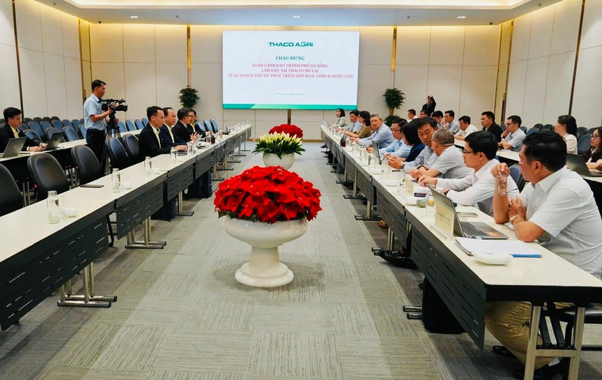 THACO của tỷ phú Trần Bá Dương và 'bài toán' 3.500ha Sâm Ngọc Linh: Từ dược liệu đến bất động sản sinh thái- Ảnh 1.