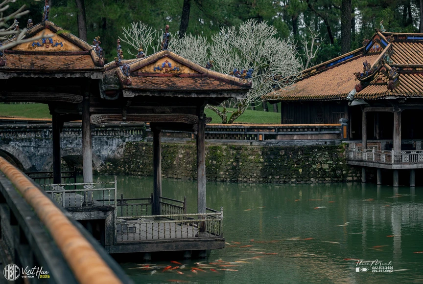 Việt Nam vừa có địa điểm lọt TOP điểm đến trăng mật lãng mạn nhất thế giới: Là TP trực thuộc Trung ương trẻ nhất cả nước- Ảnh 7.