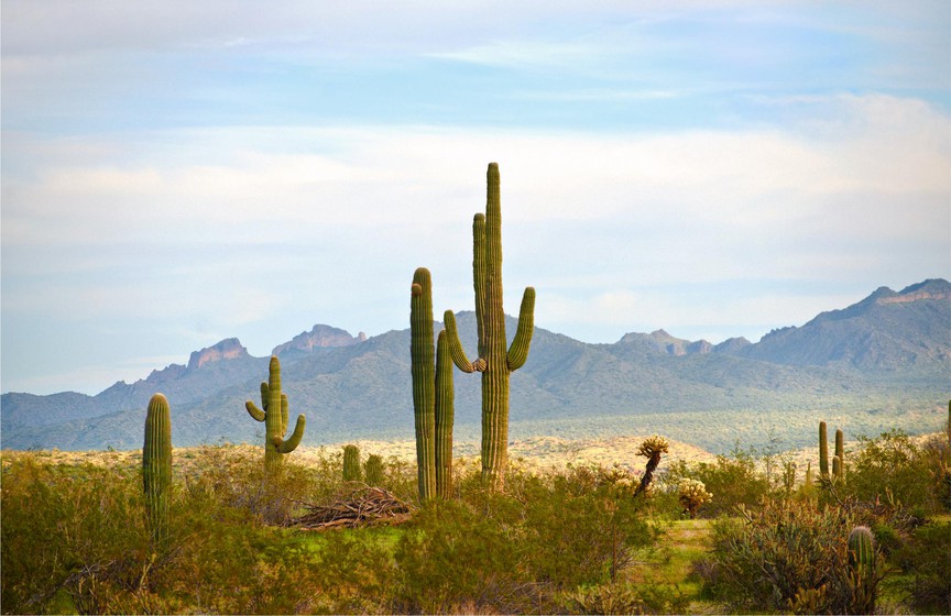 Viễn du nước Mỹ qua ống kính Alex Frayne: Từ bãi biển Venice náo nhiệt đến những trạm xăng hoang vắng- Ảnh 9.