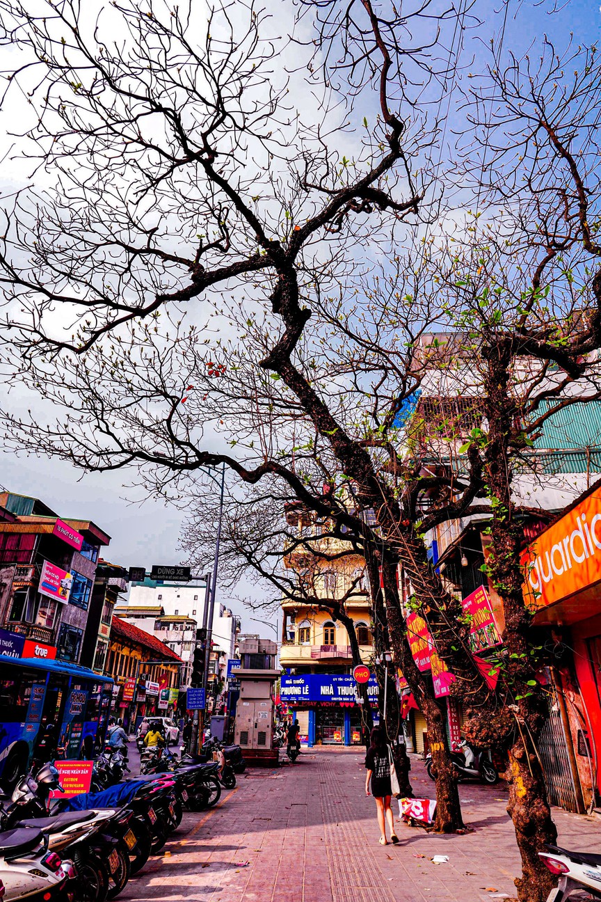 Hà Nội - Khúc giao mùa- Ảnh 16. Hà Nội - Khúc giao mùa- Ảnh 16.