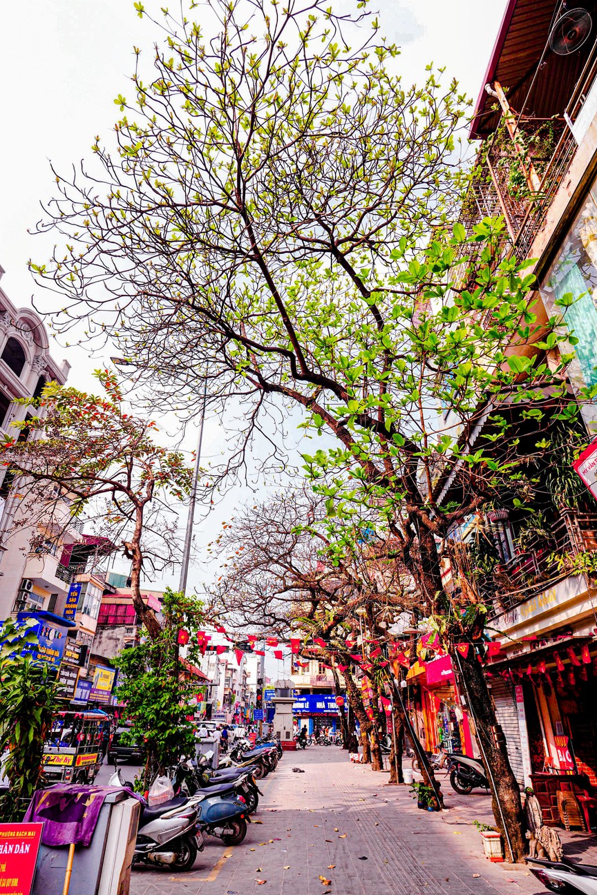 Hà Nội - Khúc giao mùa- Ảnh 17. Hà Nội - Khúc giao mùa- Ảnh 17.