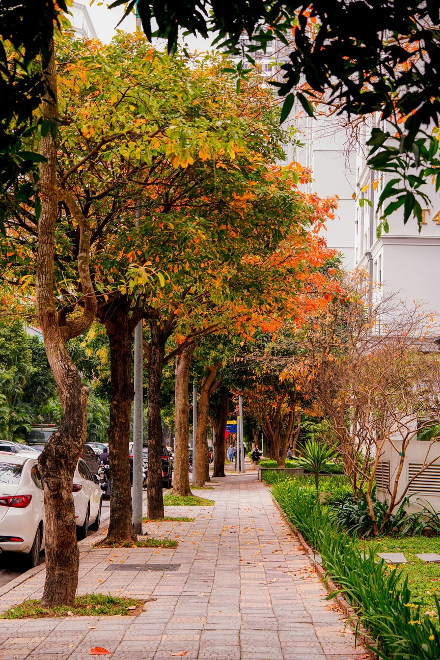 Hà Nội - Khúc giao mùa- Ảnh 9. Hà Nội - Khúc giao mùa- Ảnh 9.