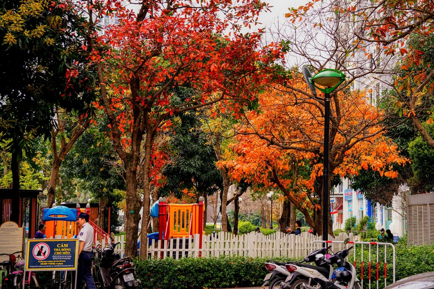 Hà Nội - Khúc giao mùa- Ảnh 10. Hà Nội - Khúc giao mùa- Ảnh 10.