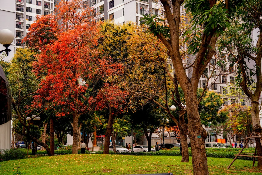 Hà Nội - Khúc giao mùa- Ảnh 12. Hà Nội - Khúc giao mùa- Ảnh 12.