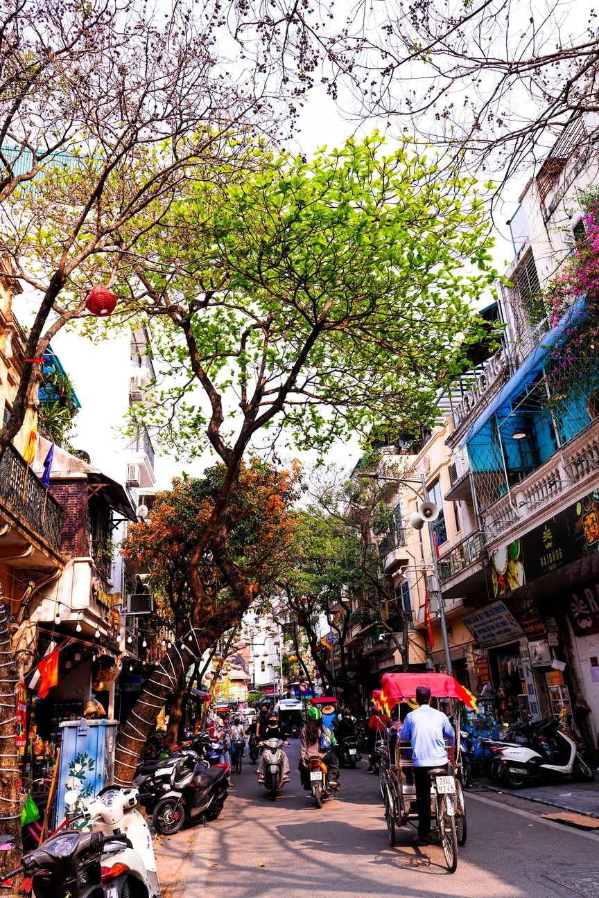 Hà Nội - Khúc giao mùa- Ảnh 3. Hà Nội - Khúc giao mùa- Ảnh 3.