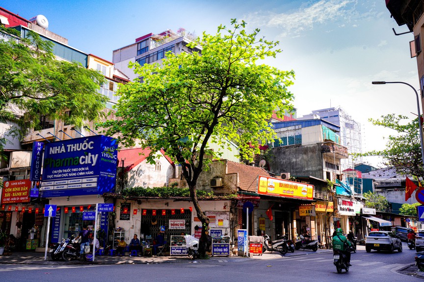 Hà Nội - Khúc giao mùa- Ảnh 28. Hà Nội - Khúc giao mùa- Ảnh 28.