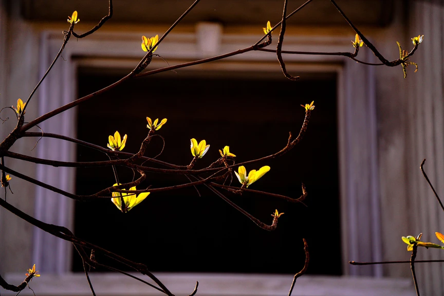 Hà Nội - Khúc giao mùa- Ảnh 2. Hà Nội - Khúc giao mùa- Ảnh 2.