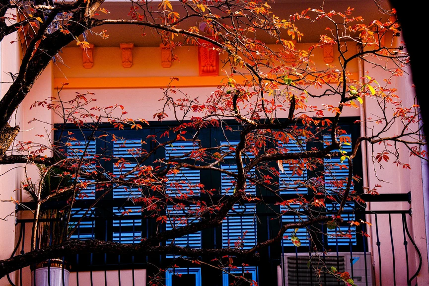 Hà Nội - Khúc giao mùa- Ảnh 20. Hà Nội - Khúc giao mùa- Ảnh 20.