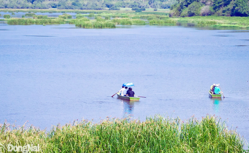 Tỉnh giàu nhất Việt Nam đẩy nhanh triển khai dự án du lịch sinh thái thứ 3, tọa lạc tại vườn quốc gia đầu tiên 'chạm tay' đến danh hiệu tầm quốc tế- Ảnh 2. Tỉnh giàu nhất Việt Nam đẩy nhanh triển khai dự án du lịch sinh thái thứ 3, tọa lạc tại vườn quốc gia đầu tiên 'chạm tay' đến danh hiệu tầm quốc tế- Ảnh 2.