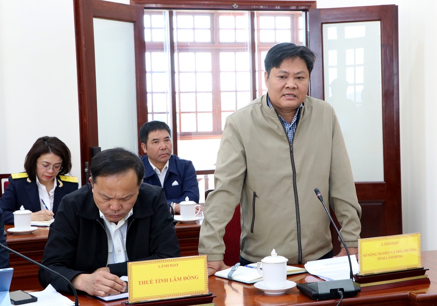 Lâm Đồng xử lý dứt điểm vướng mắc đất đai có nguồn gốc nông, lâm trường- Ảnh 2.