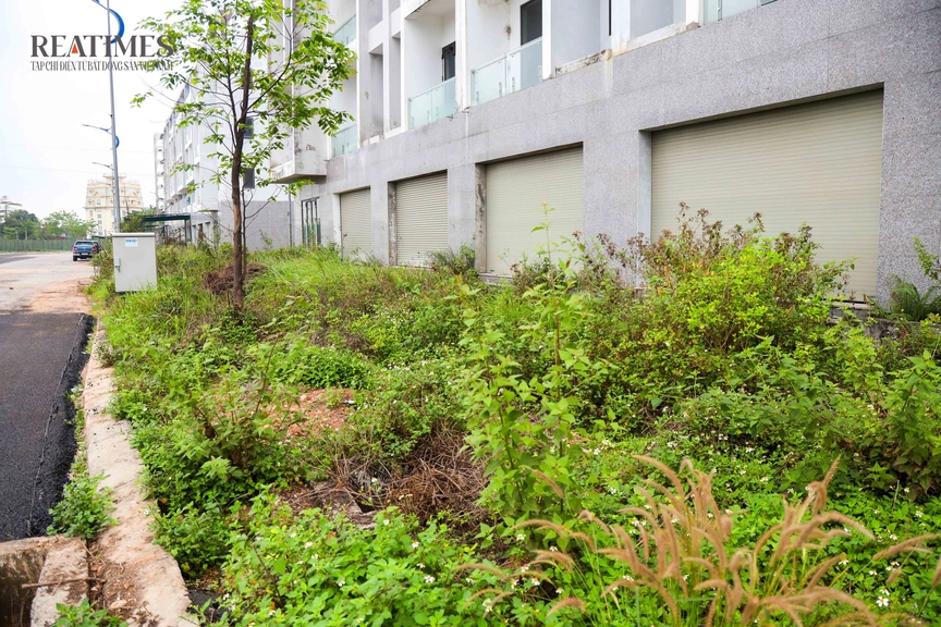 Phú Thọ: Đất trống la liệt, shophouse tiền tỷ vắng bóng người ở khu đô thị Nam Phúc Yên- Ảnh 6.