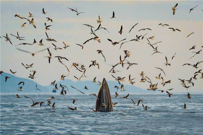 Gia Lai - “Tọa độ xanh” mới của du lịch Việt Nam- Ảnh 1.