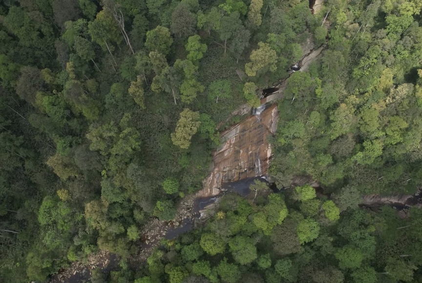 Việt Nam chính thức có thêm một vườn quốc gia mới, quy mô gần 19.000ha trải dài 3 xã- Ảnh 1.