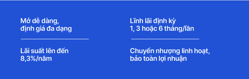 Chọn iDepo VIB cho Quỹ gia đình: Lợi nhuận tốt, linh hoạt cao- Ảnh 2.