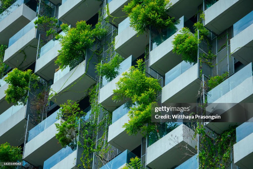 Nhu cầu 50 triệu nhà ở tại châu Phi và thách thức môi trường từ hoạt động xây dựng: Cần gỡ khó cho tài chính "xanh"- Ảnh 2.