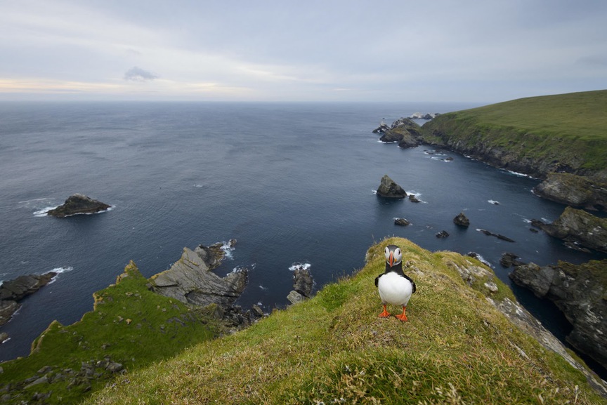 "Không xe cộ, bãi biển hoang sơ và nơi những loài chim biển ngự trị": Những hòn đảo nghỉ dưỡng được yêu thích ở châu Âu- Ảnh 6. "Không xe cộ, bãi biển hoang sơ và nơi những loài chim biển ngự trị": Những hòn đảo nghỉ dưỡng được yêu thích ở châu Âu- Ảnh 6.