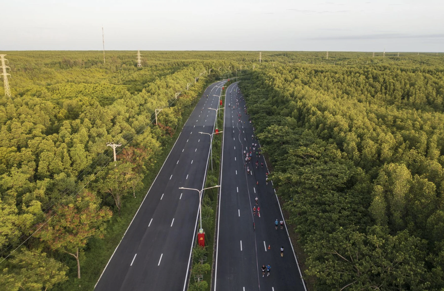 Vingroup đề xuất mở rộng tuyến đường xuyên rừng tại thành phố giàu nhất Việt Nam lên 10 làn xe- Ảnh 3. Vingroup đề xuất mở rộng tuyến đường xuyên rừng tại thành phố giàu nhất Việt Nam lên 10 làn xe- Ảnh 3.