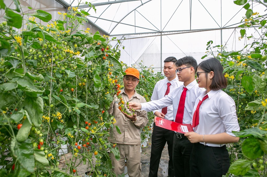 Agribank - Dòng vốn chủ lực đồng hành cùng nông nghiệp Việt Nam bước vào giai đoạn phát triển mới- Ảnh 2.