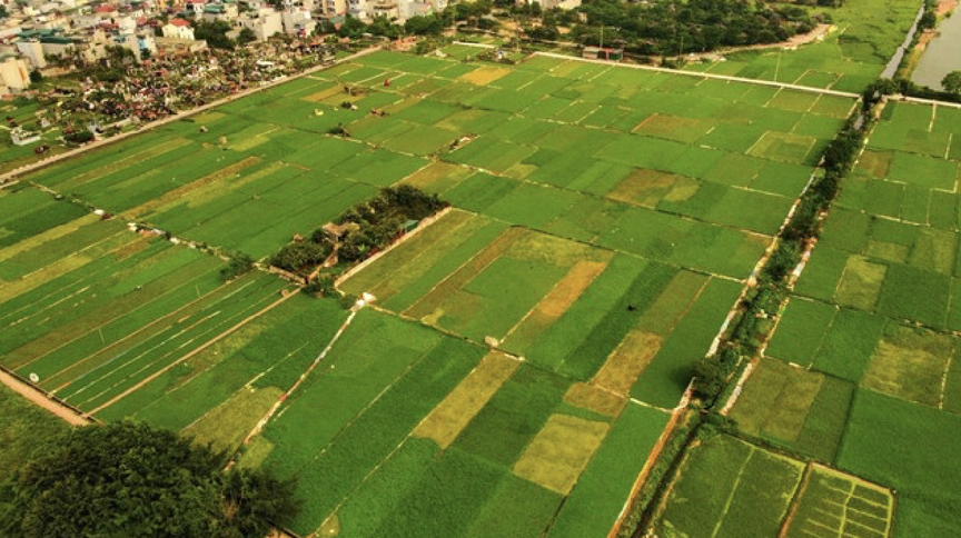 Người dân sẽ được nhận tối đa 500.000.000 đồng khi Nhà nước thu hồi đất: Loại đất gì, áp dụng từ bao giờ, đó là địa phương nào?- Ảnh 1.