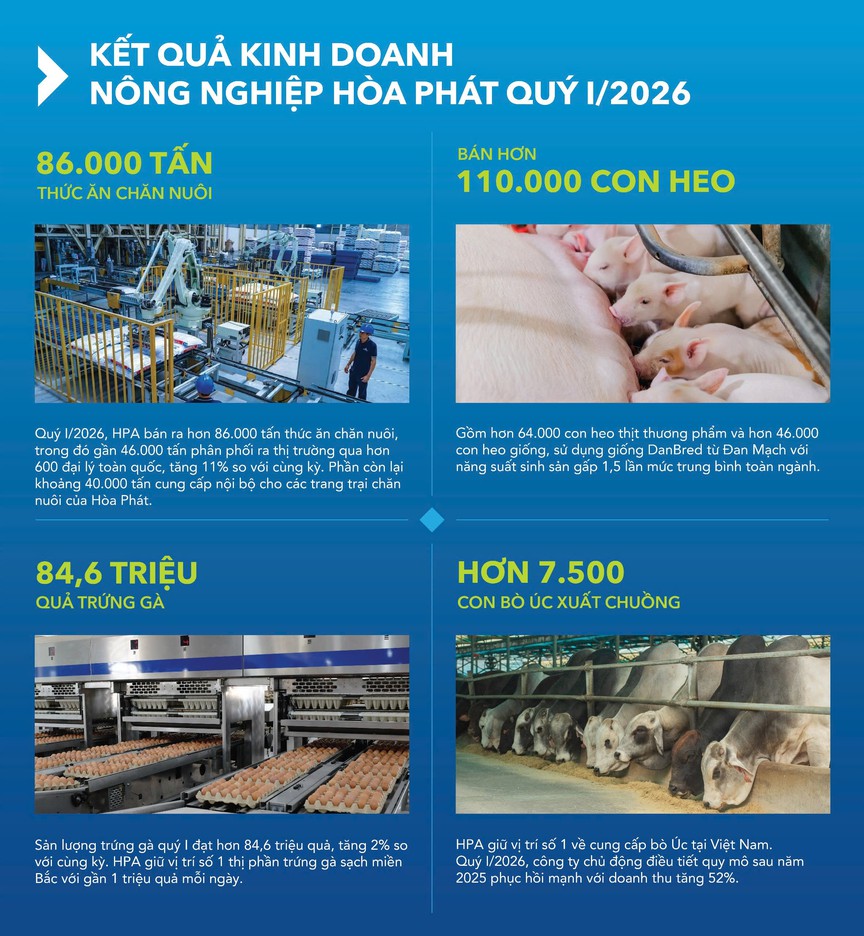 Nông nghiệp Hòa Phát xuất bán hơn 110.000 con heo và 86.000 tấn thức ăn chăn nuôi trong quý I/2026- Ảnh 1.