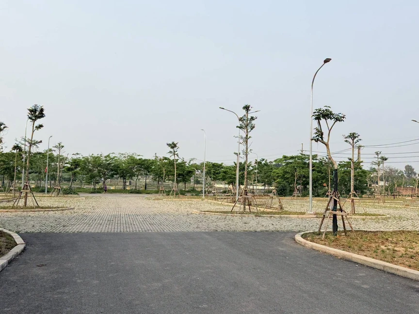 Đất nền ven đô lặng sóng, giá vẫn neo cao- Ảnh 1.