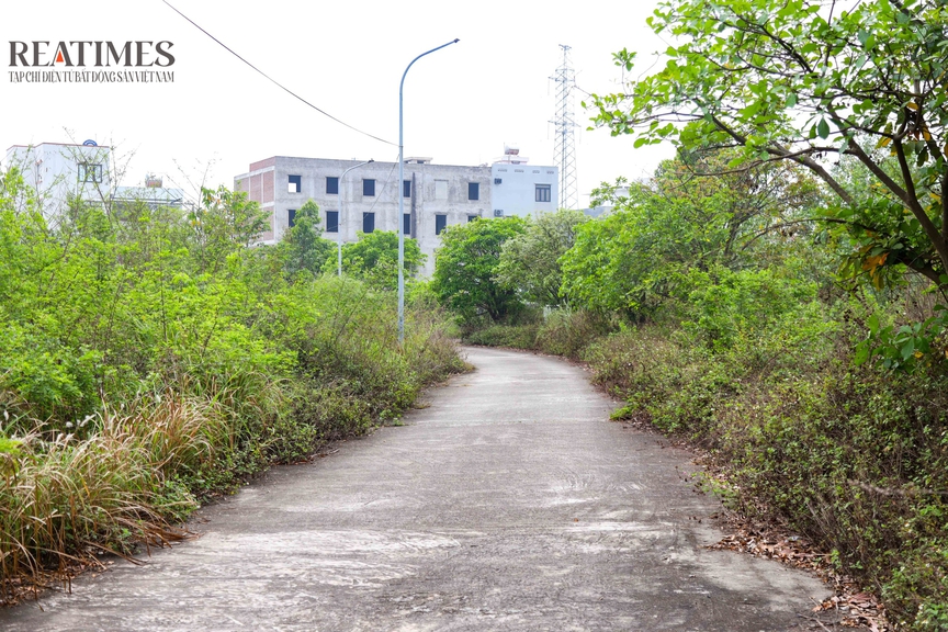 Khu đô thị mới Xuân Hòa - Hoài Nam (Phú Thọ): Hơn 20 năm vẫn dang dở, thưa vắng cư dân- Ảnh 11.