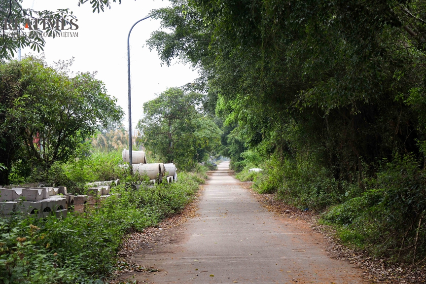 Khu đô thị mới Xuân Hòa - Hoài Nam (Phú Thọ): Hơn 20 năm vẫn dang dở, thưa vắng cư dân- Ảnh 9.