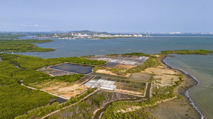 Việt Nam sắp hình thành siêu cảng gần 51.000 tỷ: Quy mô 351ha, cửa ngõ xuất nhập khẩu đi thẳng châu Âu, Mỹ- Ảnh 1.