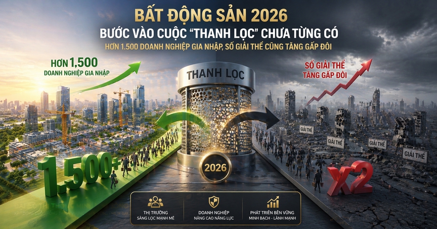 Bất động sản 2026 bước vào cuộc 'thanh lọc' chưa từng có: Hơn 1.500 doanh nghiệp gia nhập, số giải thể cũng tăng gấp đôi- Ảnh 2.
