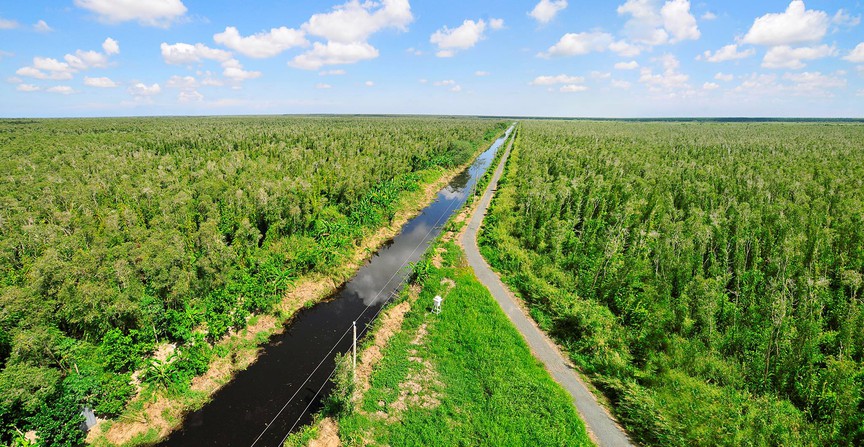 Một góc của Vườn Quốc gia U Minh Hạ. Nguồn ảnh: Du Lịch Miền Tây