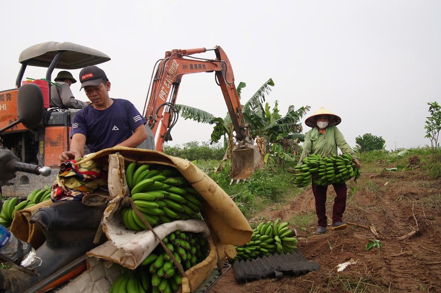 Siêu cầu gần 20.000 tỷ bắc qua dòng sông biểu tượng có bóng dáng Vingroup điều chỉnh phương pháp thi công, chạy đua về đích dịp 2/9- Ảnh 3.