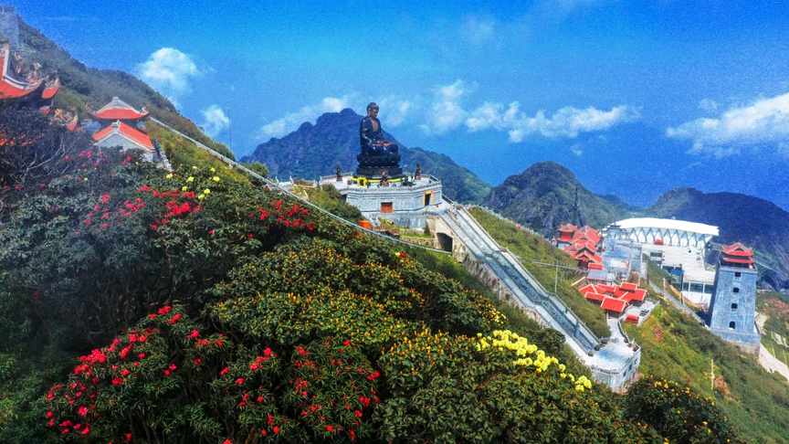 Ngỡ ngàng sắc hồng Anh đào kép phủ kín Fansipan tháng 4- Ảnh 8.