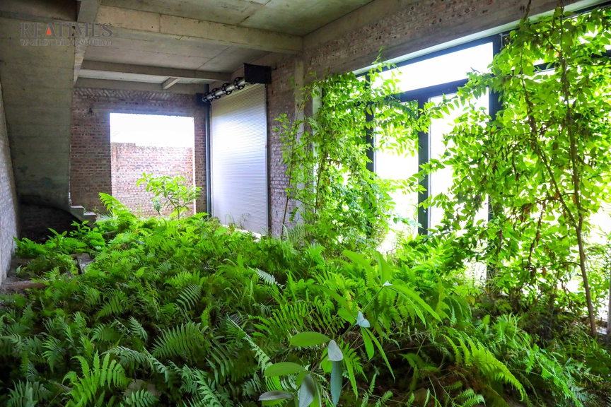 Thái Nguyên: Đất trống trải dài, shophouse đầy cỏ dại tại khu đô thị Việt - Hàn- Ảnh 8.