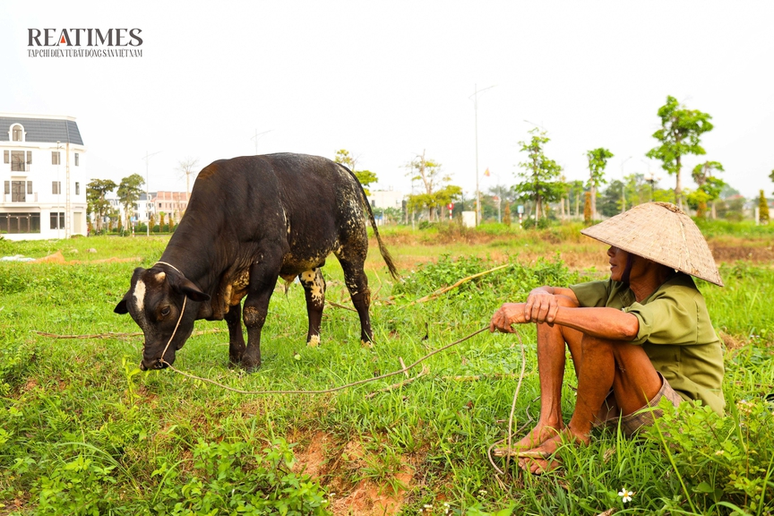 Thái Nguyên: Đất trống trải dài, shophouse đầy cỏ dại tại khu đô thị Việt - Hàn- Ảnh 16.