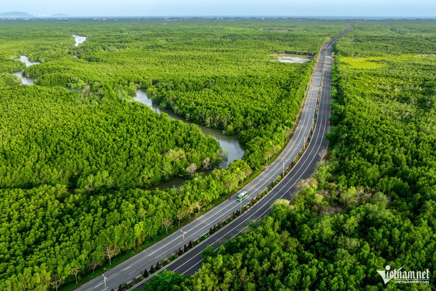 Vingroup đề xuất chi 19.000 tỷ lên đời tuyến độc đạo xuyên rừng ngập mặn kết nối siêu đô thị lấn biển với trung tâm TP giàu nhất nước- Ảnh 2.