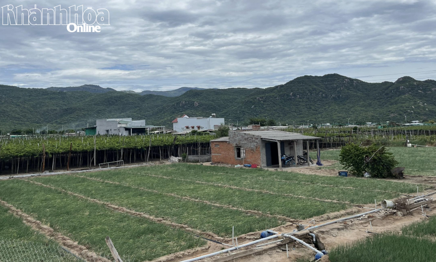 Dự án điện hạt nhân đầu tiên của Việt Nam: Tăng tốc triển khai, kỳ vọng vận hành trong 5 năm tới- Ảnh 3. Dự án điện hạt nhân đầu tiên của Việt Nam: Tăng tốc triển khai, kỳ vọng vận hành trong 5 năm tới- Ảnh 3.