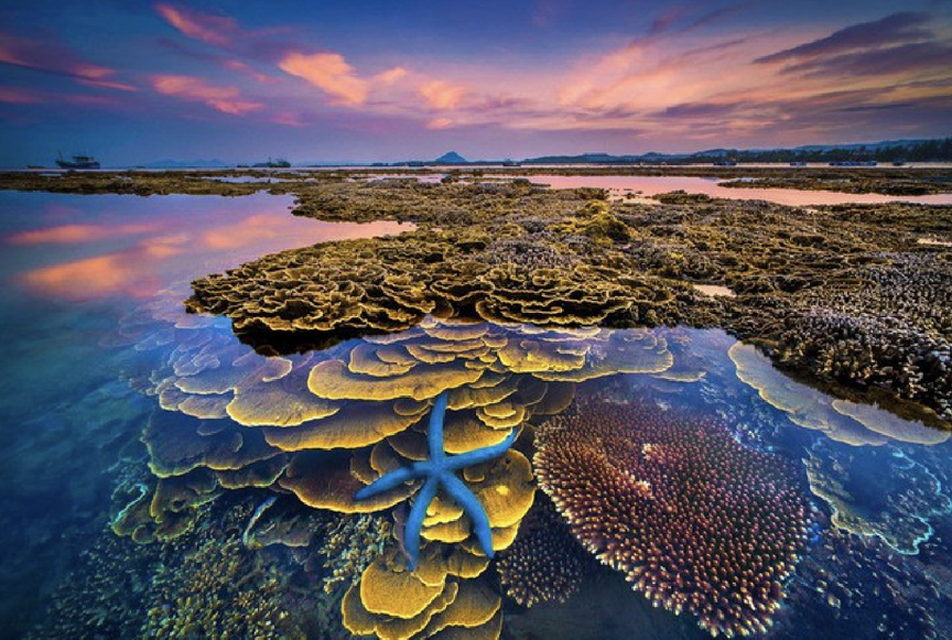 Việt Nam sắp có thêm một công viên địa chất toàn cầu được UNESCO công nhận- Ảnh 1.