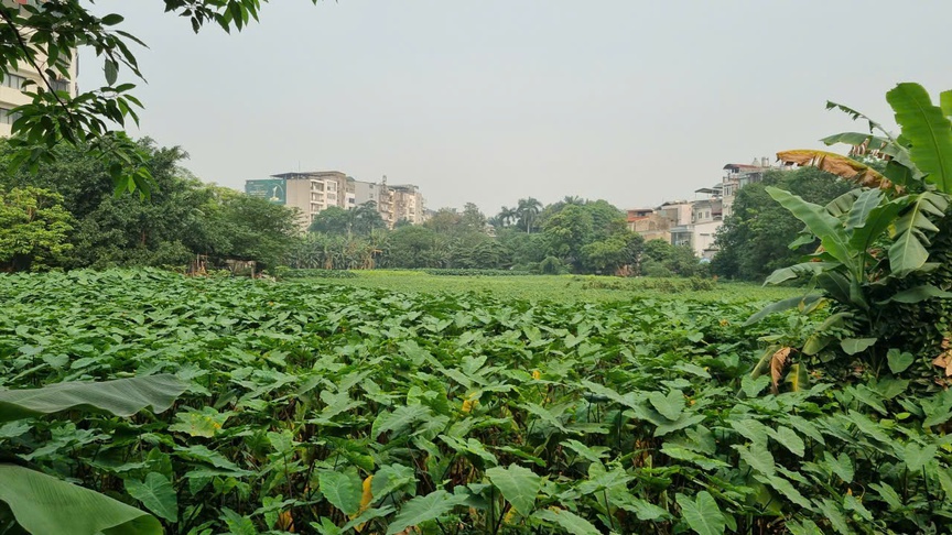 Hà Nội: Nhếch nhác xung quanh hồ Rẻ Quạt- Ảnh 1. Hà Nội: Nhếch nhác xung quanh hồ Rẻ Quạt- Ảnh 1.