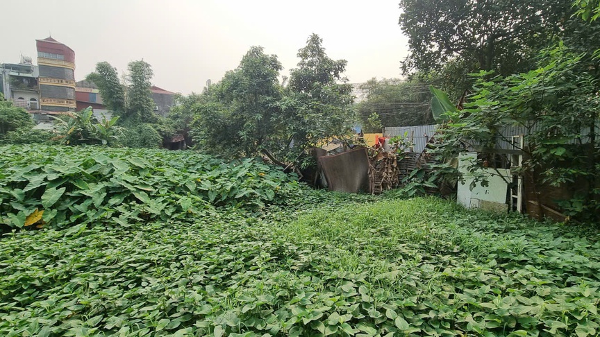 Hà Nội: Nhếch nhác xung quanh hồ Rẻ Quạt- Ảnh 3. Hà Nội: Nhếch nhác xung quanh hồ Rẻ Quạt- Ảnh 3.