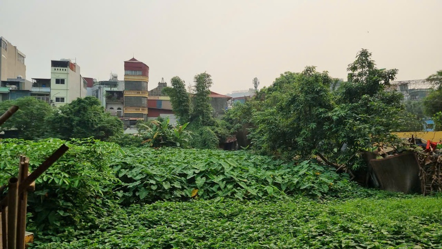 Hà Nội: Nhếch nhác xung quanh hồ Rẻ Quạt- Ảnh 4. Hà Nội: Nhếch nhác xung quanh hồ Rẻ Quạt- Ảnh 4.