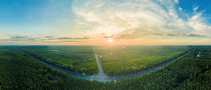 Cần Giờ lột xác thần tốc, đẹp mê hoặc trong ngày tranh tài VnExpress Marathon Green Paradise 2026- Ảnh 4.