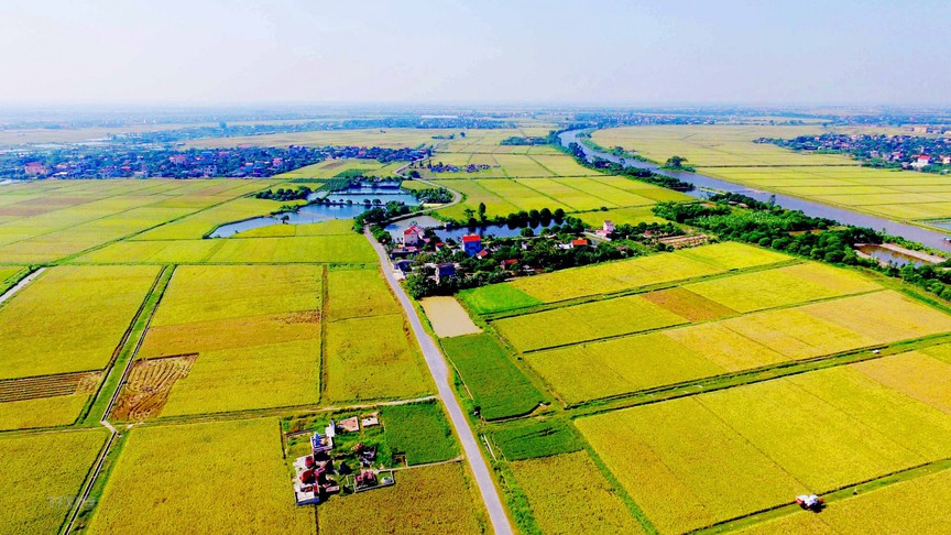 Hà Nội: Chủ tịch xã sẽ được cấp phép xây dựng công trình trên đất nông nghiệp từ 18/5- Ảnh 1.