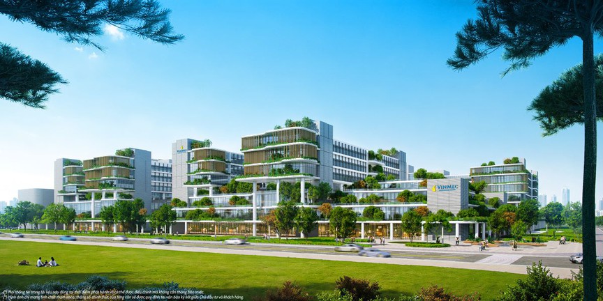 Vinhomes Green Paradise Cần Giờ: Sức hút của hệ sinh thái dưỡng lành cho người lớn tuổi- Ảnh 4. Vinhomes Green Paradise Cần Giờ: Sức hút của hệ sinh thái dưỡng lành cho người lớn tuổi- Ảnh 4.